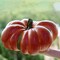 Large Artificial Pumpkin, 12.6inch Hand-Made Fake Pumpkin for Fall Harvest Festival Thanksgiving Halloween Decor (Orange Speckles)
